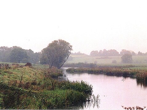 Pausitzer Lache Pausitzer Lache