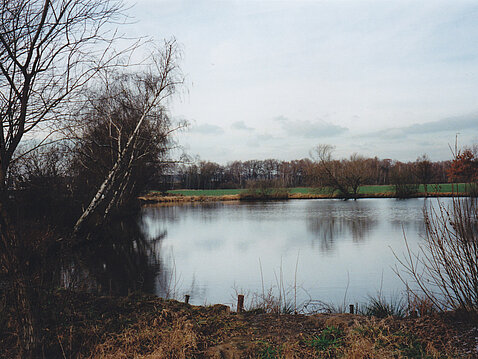 Dreiecksteich Deuben Dreiecksteich Deuben