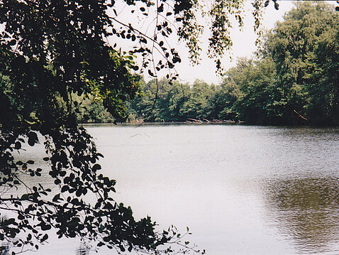 Schachtloch Altenbach Schachtloch Altenbach